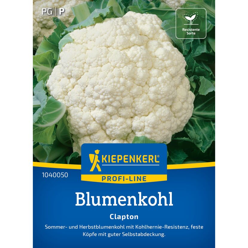 Blumenkohl Clapton' F1-Hybride