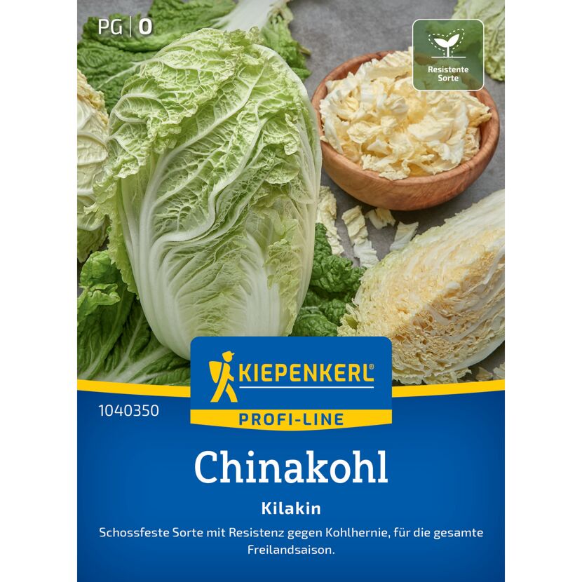 Chinakohl 'Kilakin' F1-Hybride