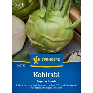 Kohlrabi 'Superschmelz'