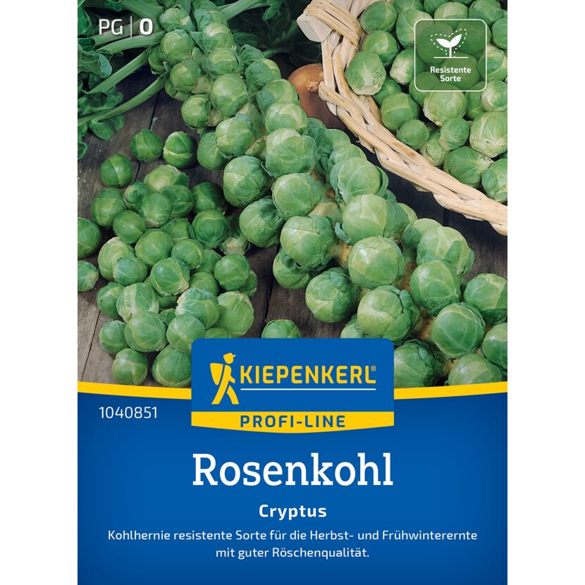 Rosenkohl 'Cryptus' F1-Hybride