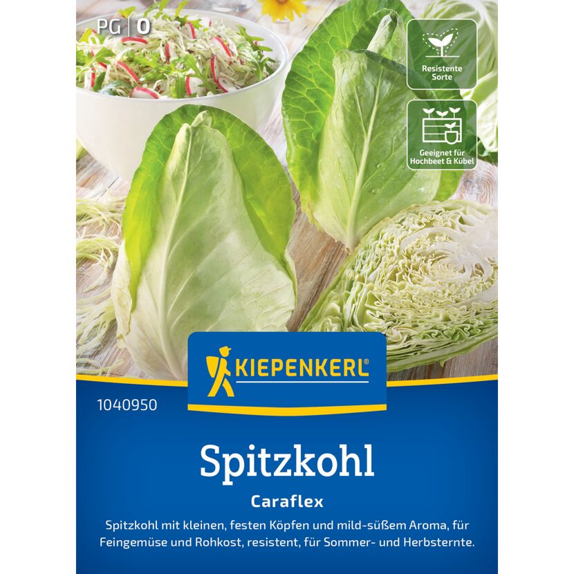 Spitzkohl 'Caraflex' F1-Hybride