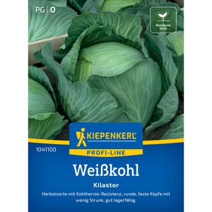 Weißkohl 'Kilastor' F1-Hybride