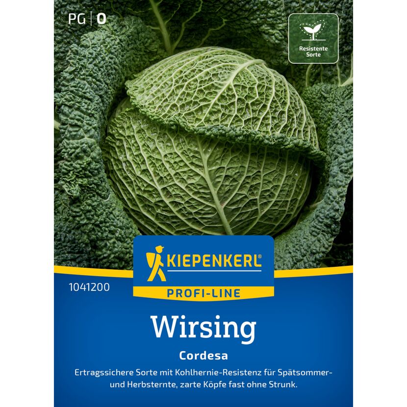Wirsing 'Cordesa' F1-Hybride