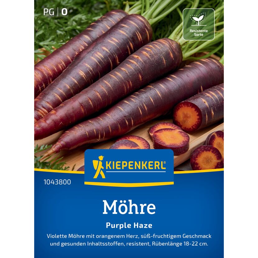 Möhre 'Purple Haze' F1-Hybride