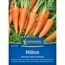 Möhre 'Short ´N Sweet'