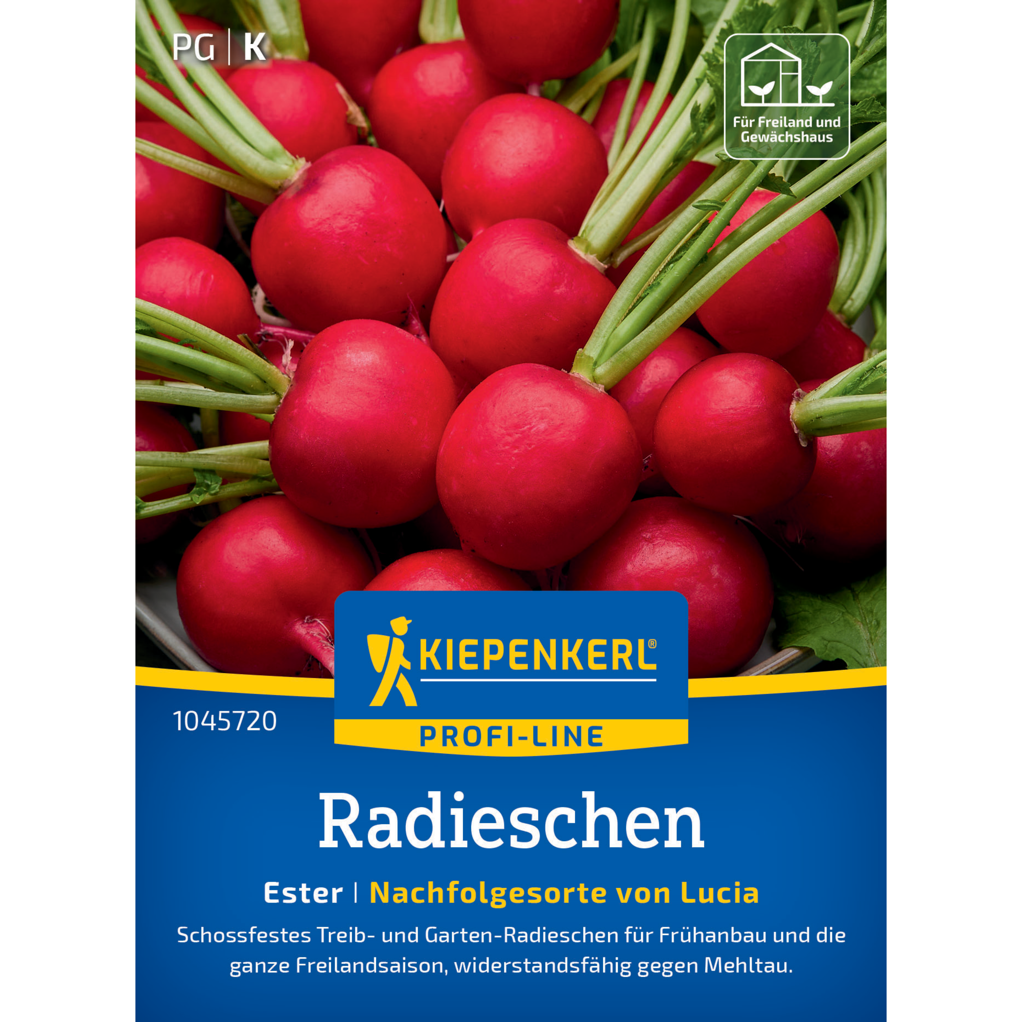 Radieschen 'Ester'