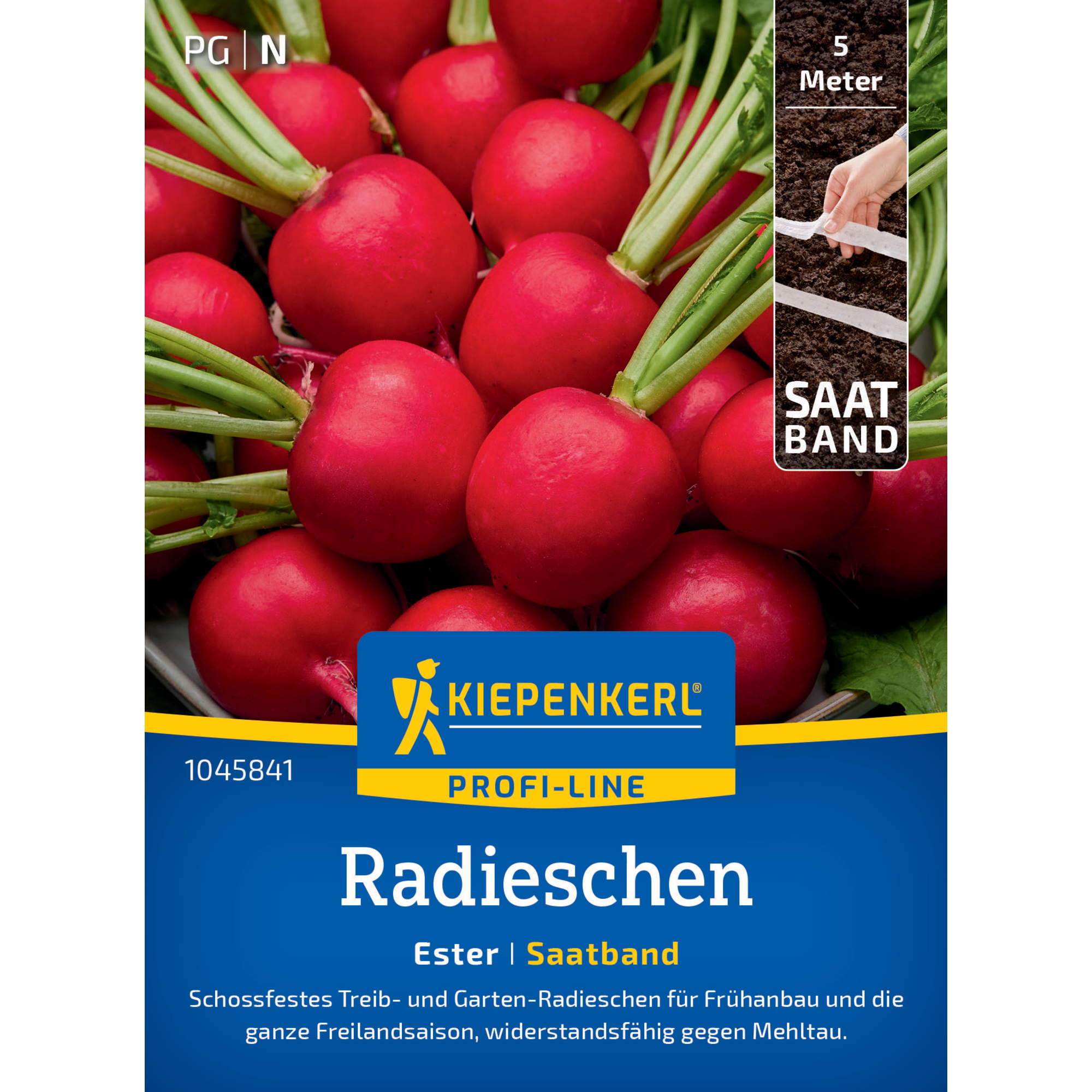 Radieschen 'Ester' Saatband 5 m