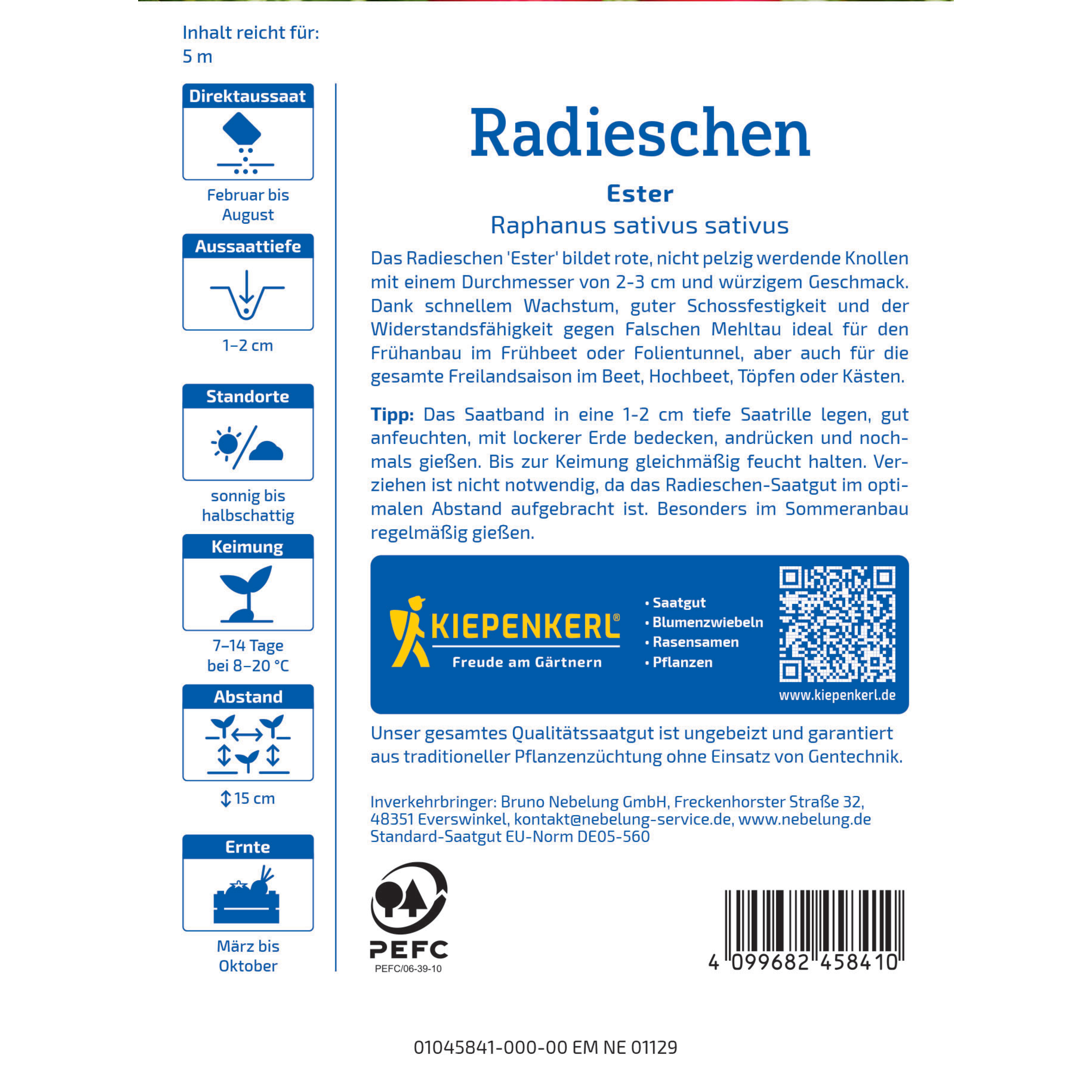 Radieschen 'Ester' Saatband 5 m