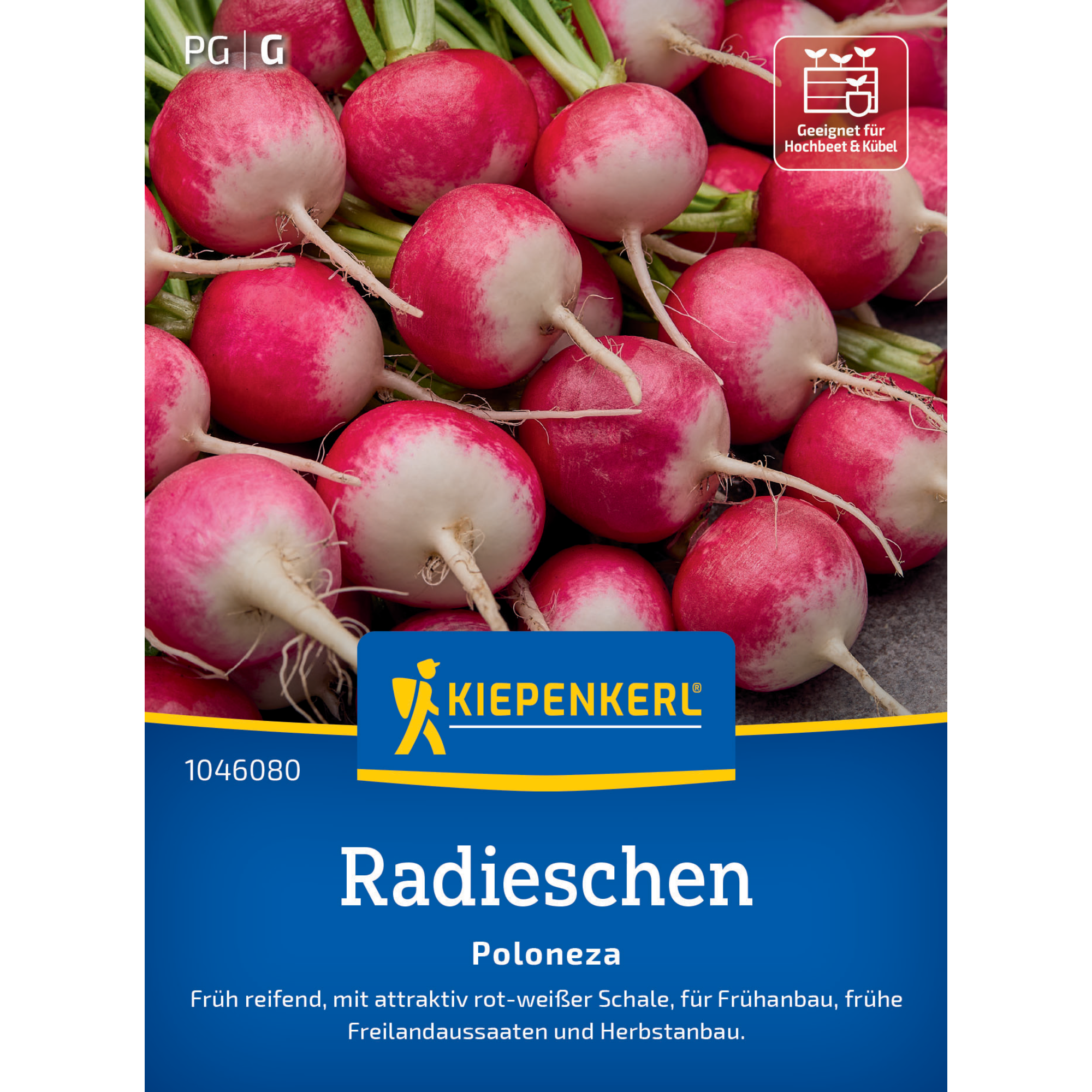 Radieschen 'Poloneza'
