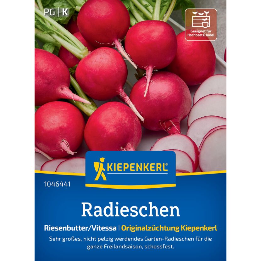 Radieschen 'Riesenbutter/Vitessa'