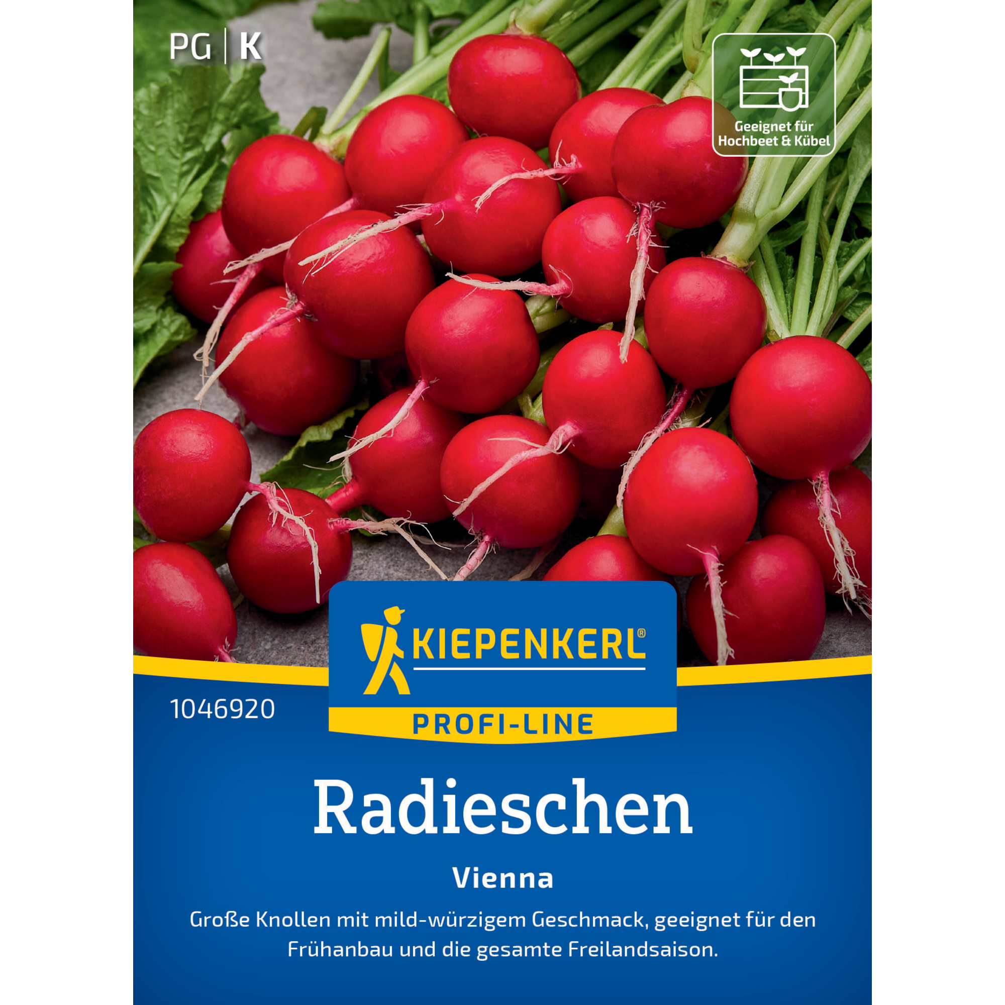 Radieschen 'Vienna' F1-Hybride