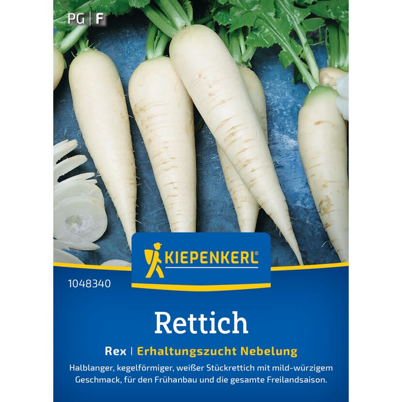 Rettich 'Rex'