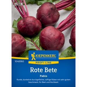 Rote Bete 'Pablo' F1-Hybride