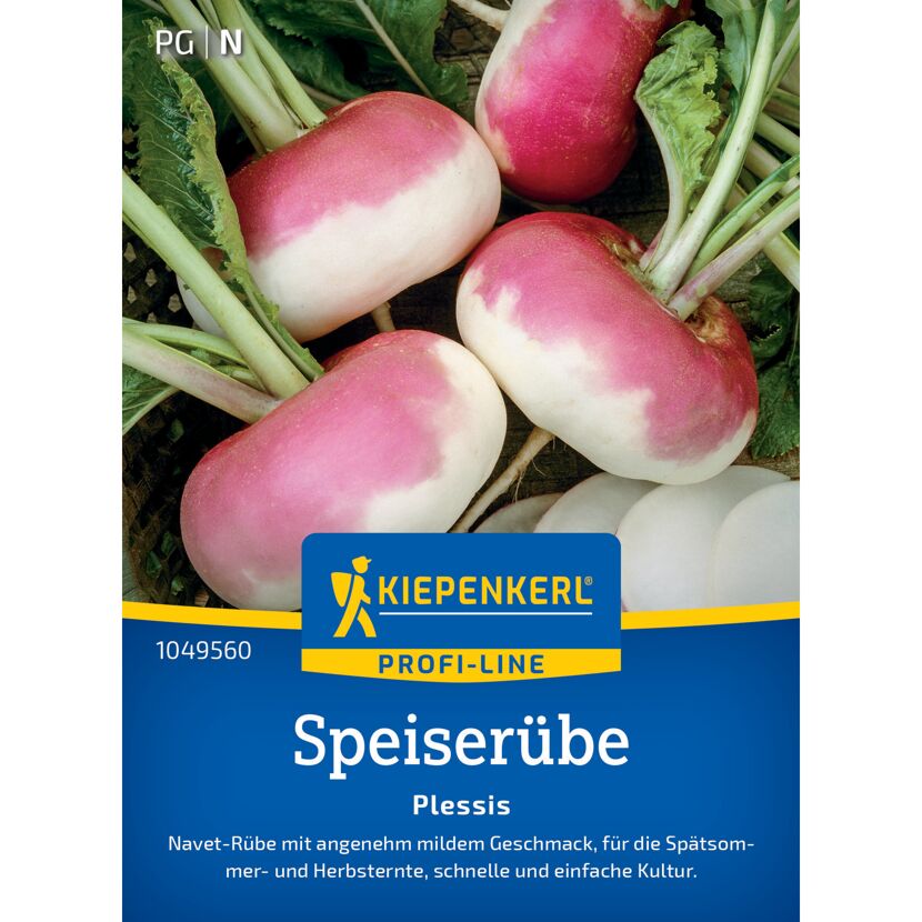 Speiserübe 'Plessis' F1-Hybride