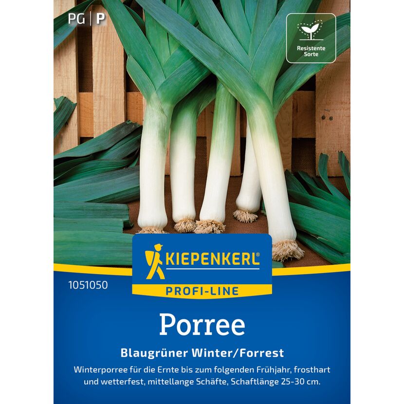 Porree 'Blaugrüner Winter/Forrest'