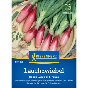 Lauchzwiebel 'Rossa lunga di Firenze'
