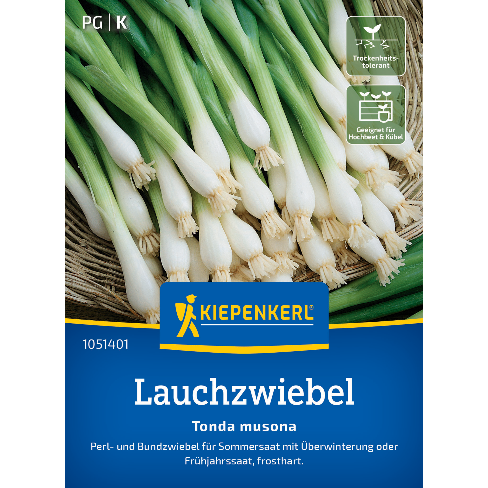 Lauchzwiebel 'Tonda Musona'
