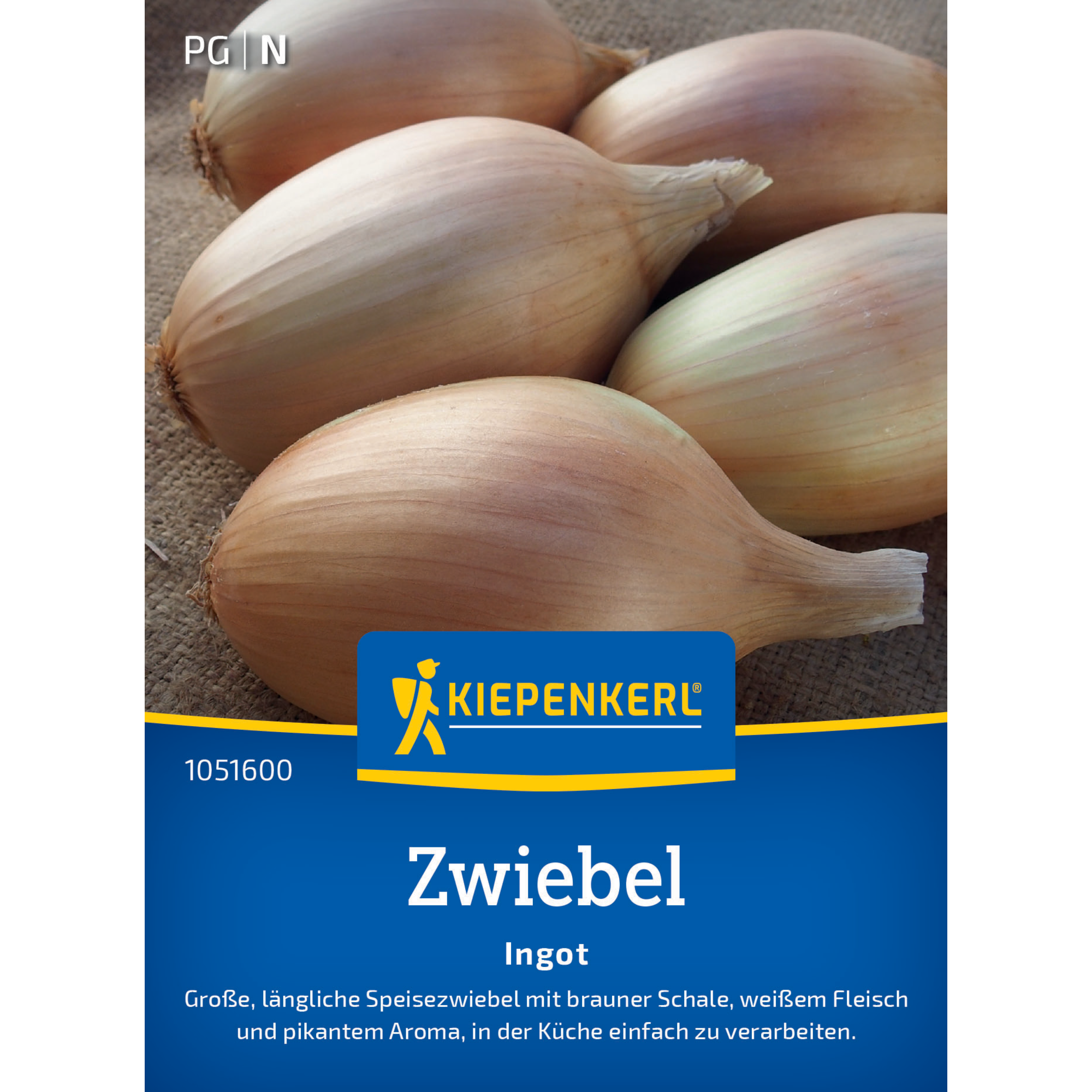 Zwiebel 'Ingot' F1-Hybride