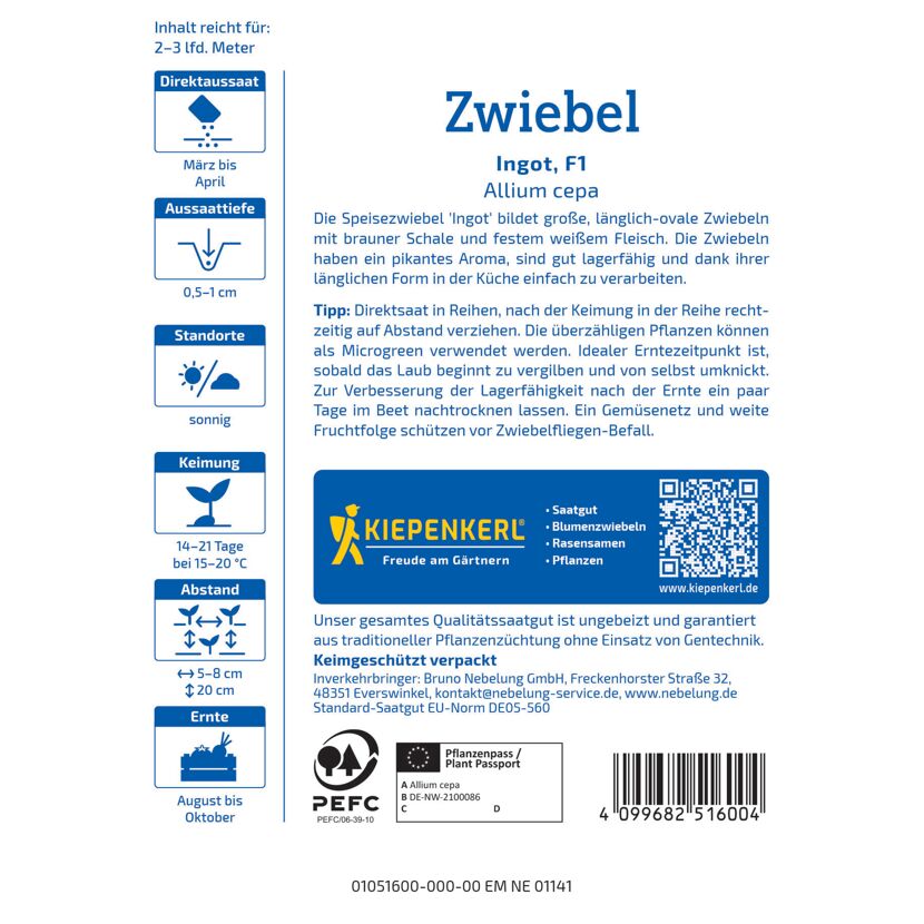Zwiebel 'Ingot' F1-Hybride