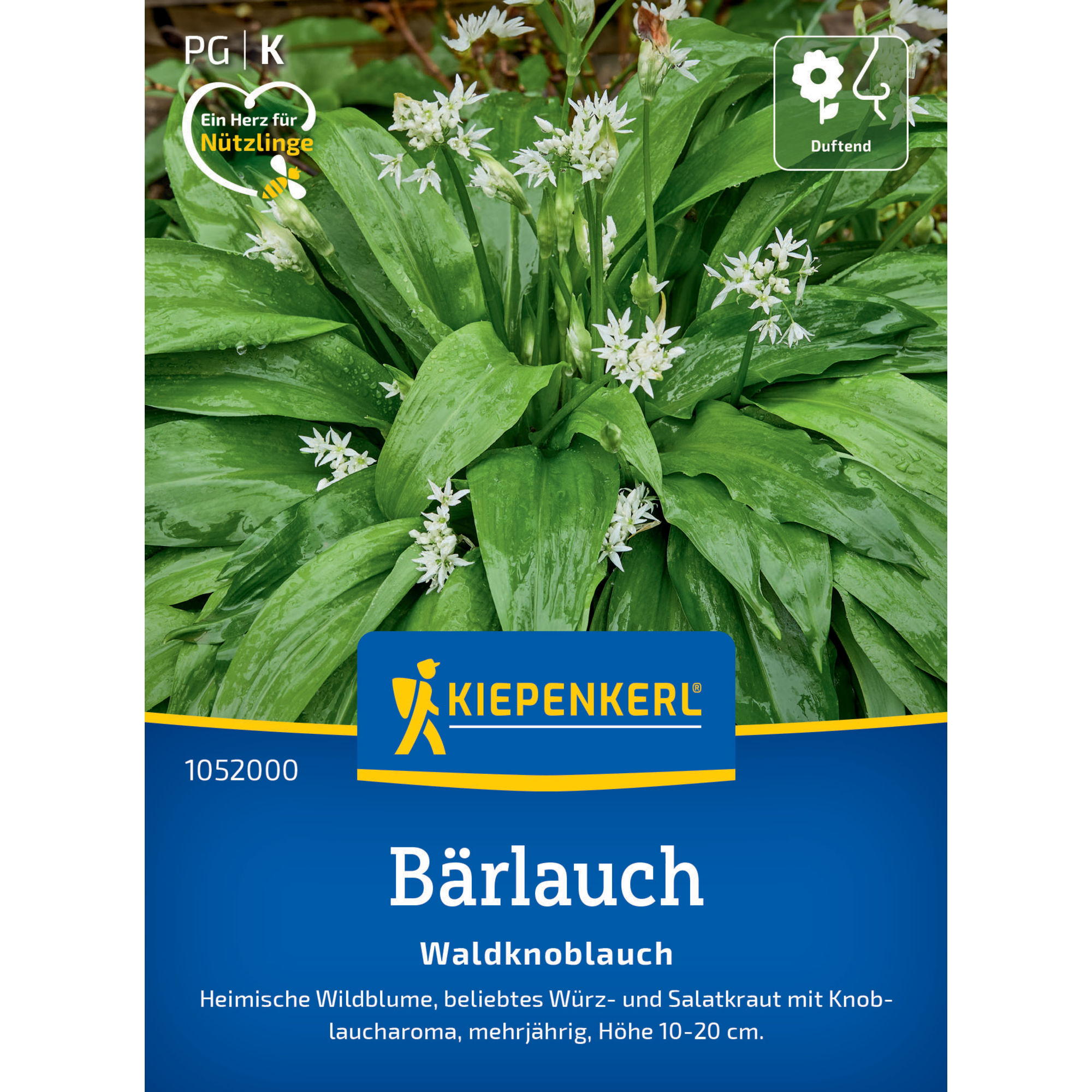 Bärlauch 'Waldknoblauch'