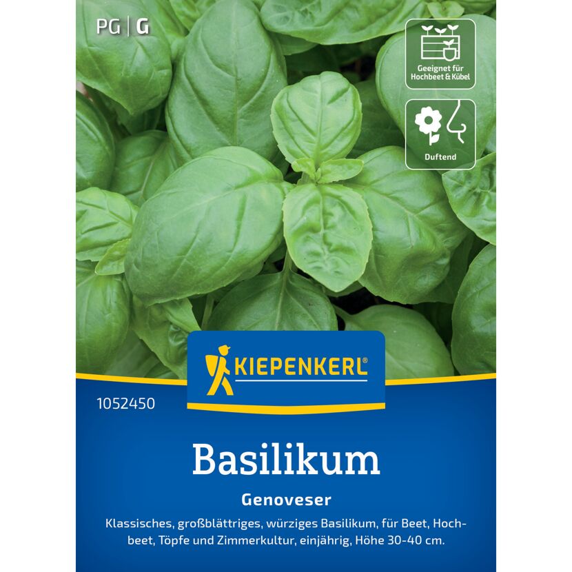 Basilikum 'Genoveser'