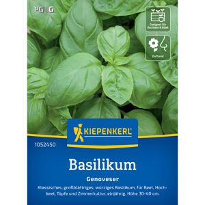 Basilikum 'Genoveser'