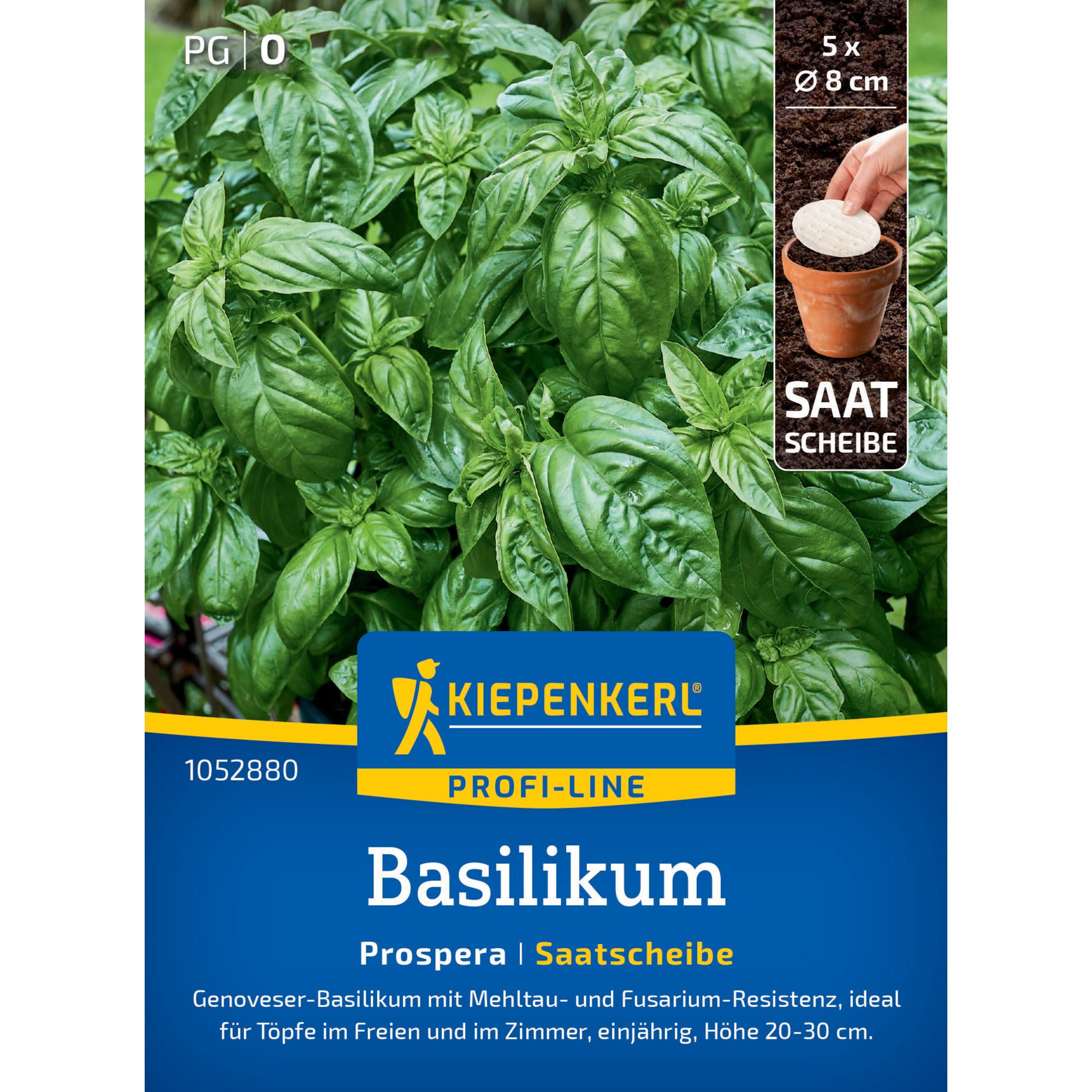 Basilikum 'Prospera' F1-Hybride Saatscheibe Ø 8 cm, 5 Stück