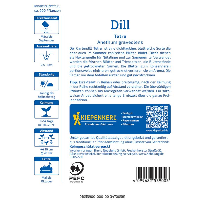 Dill 'Tetra'
