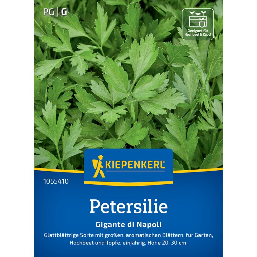 Petersilie 'Gigante di Napoli'