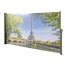 Seitenmarkise 'Paris' 300 x 160 cm