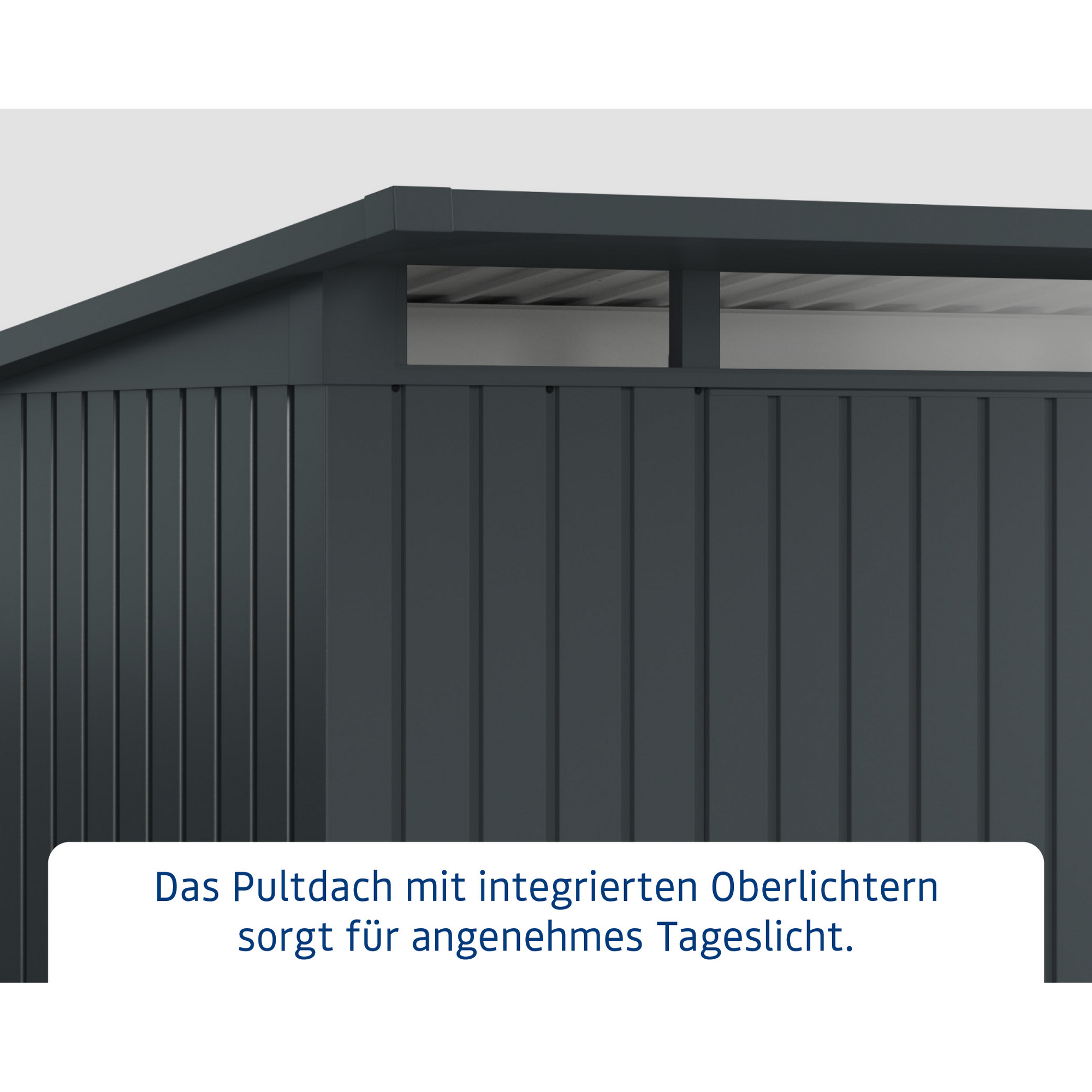 Gerätehaus  'Euroline EPD6  S-Sk' anthrazitgrau 229 x 310 cm