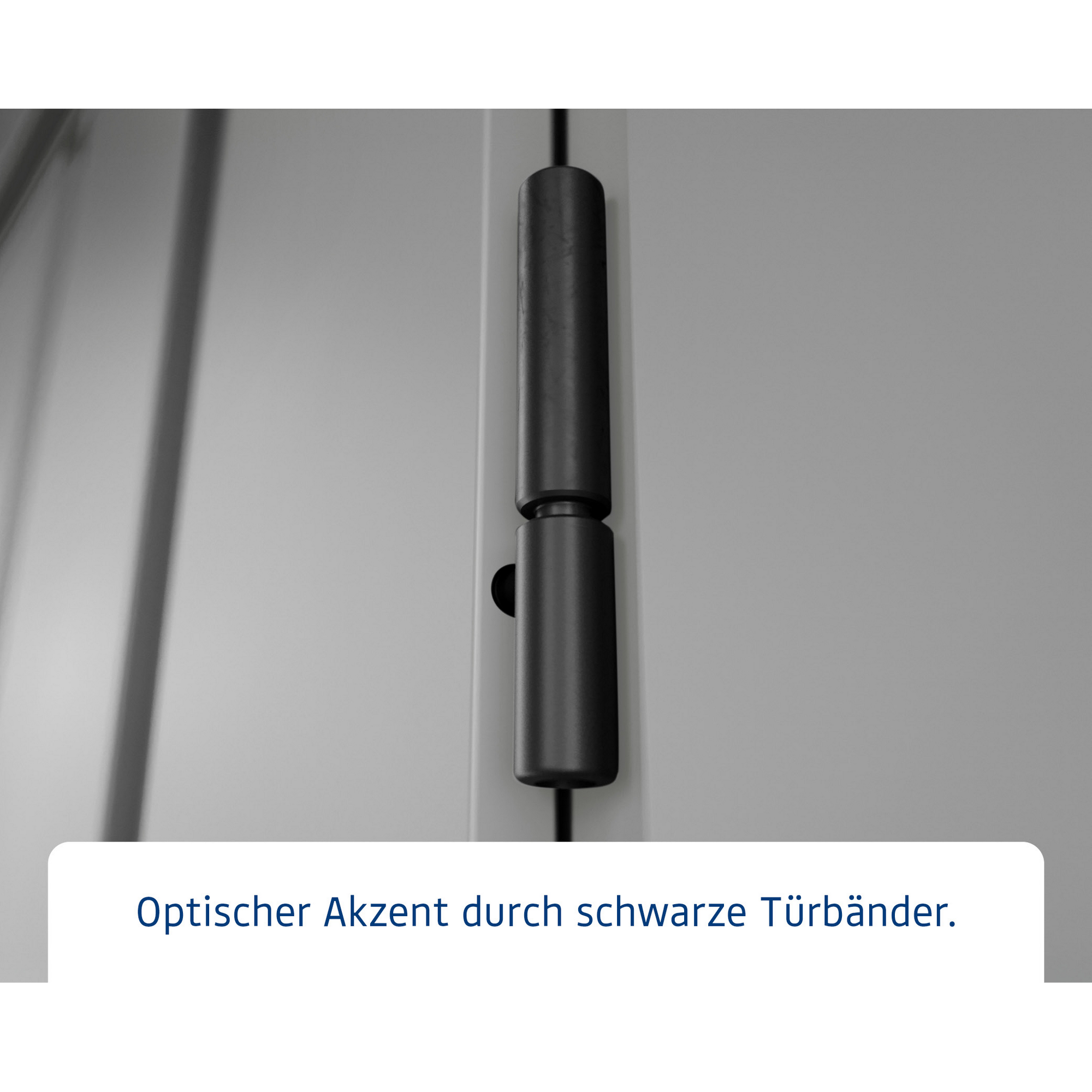 Gerätehaus  'Euroline EPD4  S-Sk' graualuminium 229 x 310 cm