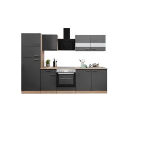 Küchenzeile 'Merle' mit E-Geräten KB270ESGCGKE grau/eichefarben 270 cm