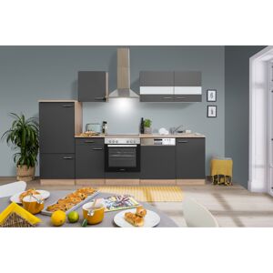 Küchenzeile 'Merle' mit E-Geräten KB280ESGC grau/eichefarben 280 cm