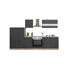 Küchenzeile 'Merle' mit E-Geräten KB300ESGC grau/eichefarben 300 cm