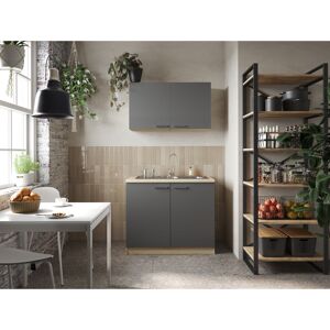 Küchenmöbel-Set 'Merle 2' grau/eichefarben mit Spüle 100 cm