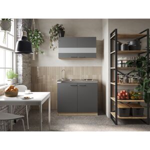 Küchenmöbel-Set 'Merle 3' grau/eichefarben mit Spüle und Glaskeramikkochfeld 100 cm