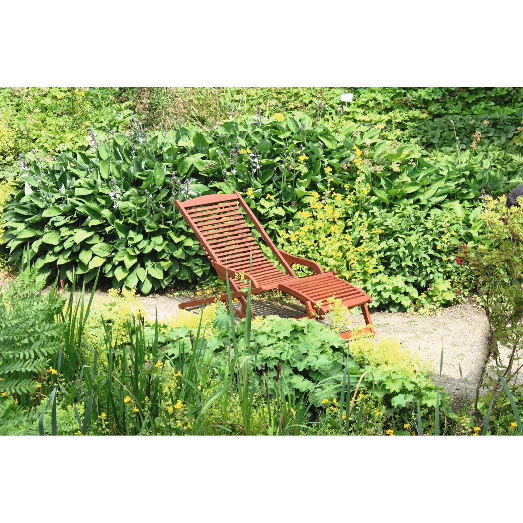Sonnenliege 'Alaska' verstellbar/klappbar Eukalyptusholz braun 59,5 x 78 x 145 cm