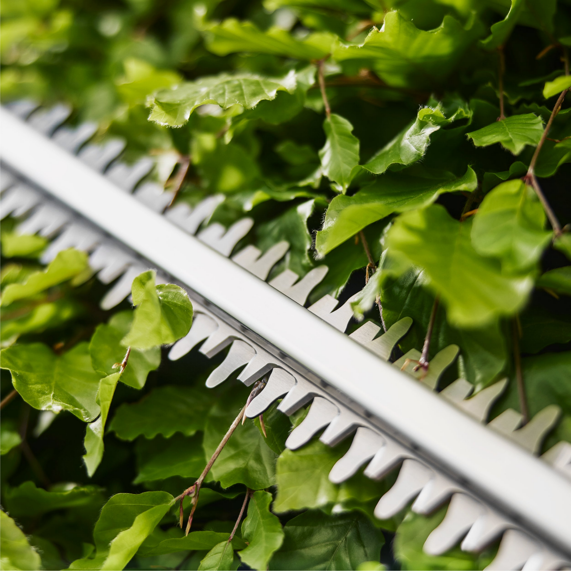 Akku-Heckenschere 'EasyCut 45/18V P4A solo' ohne Akku