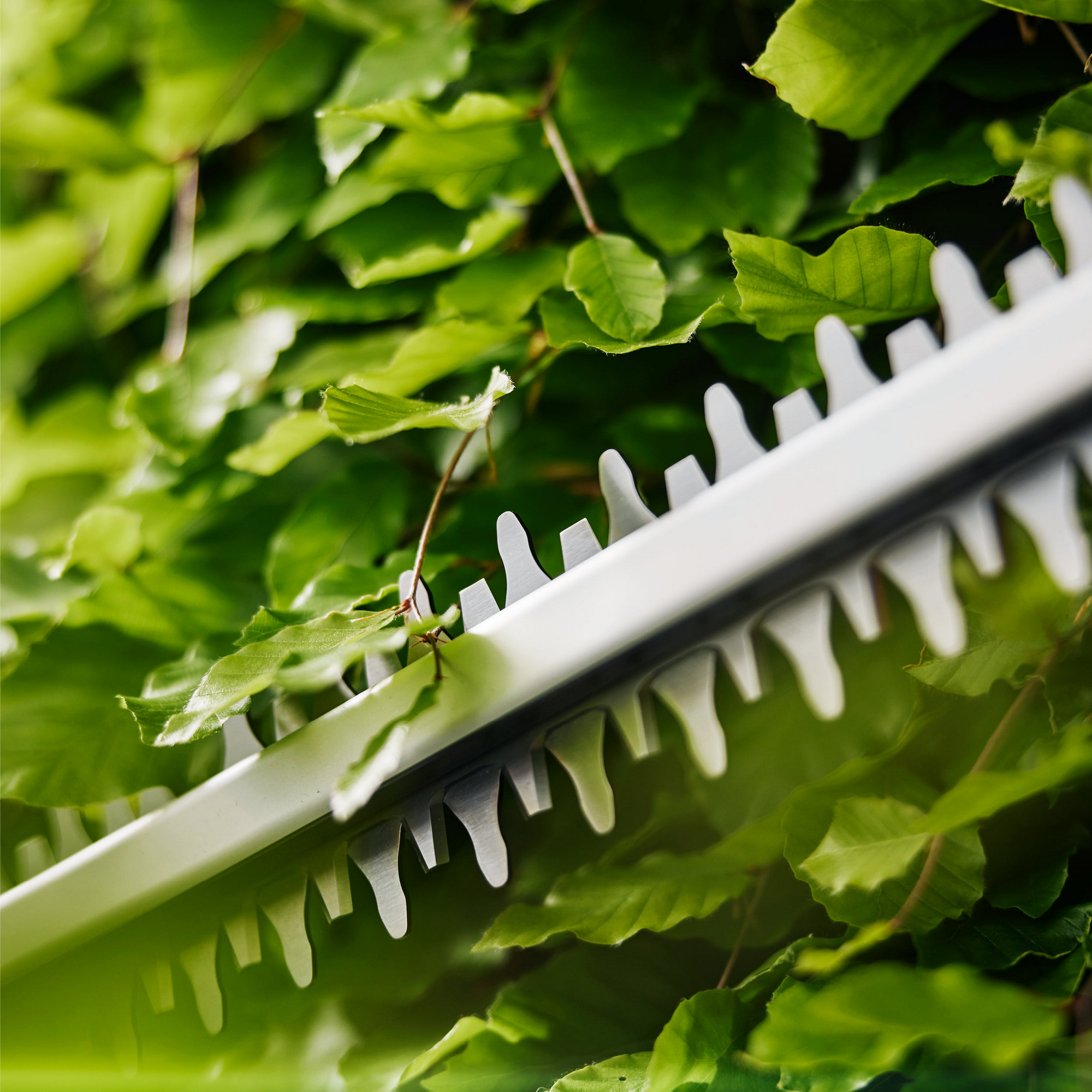 Akku-Heckenschere 'EasyCut 55/18V P4A Ready-To-Use Set' mit Akku und Ladegerät