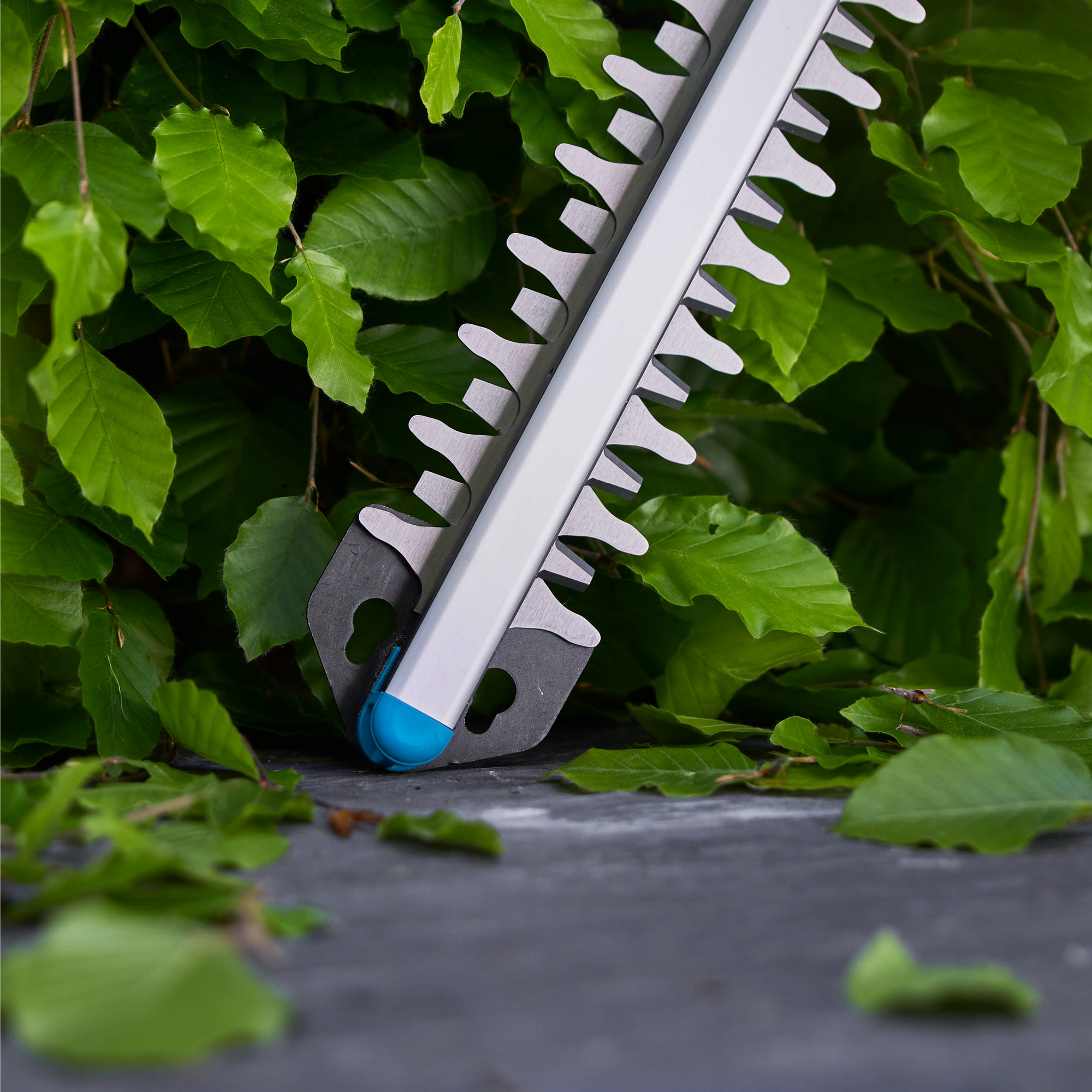 Akku-Heckenschere 'EasyCut 55/18V P4A Ready-To-Use Set' mit Akku und Ladegerät