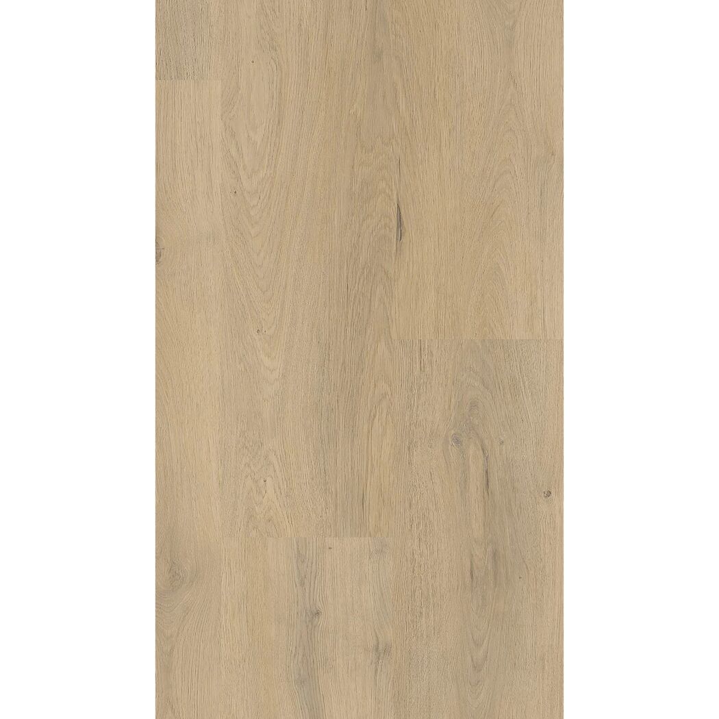Klebe-Vinylboden 'Eiche Bretagne' 2,5 mm