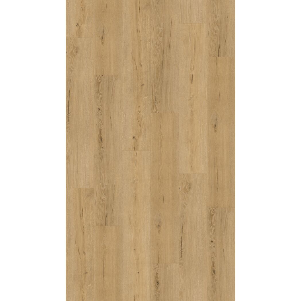Klebe-Vinylboden 'Eiche Burgund' 2,5 mm