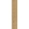 Klebe-Vinylboden 'Eiche Burgund' 2,5 mm