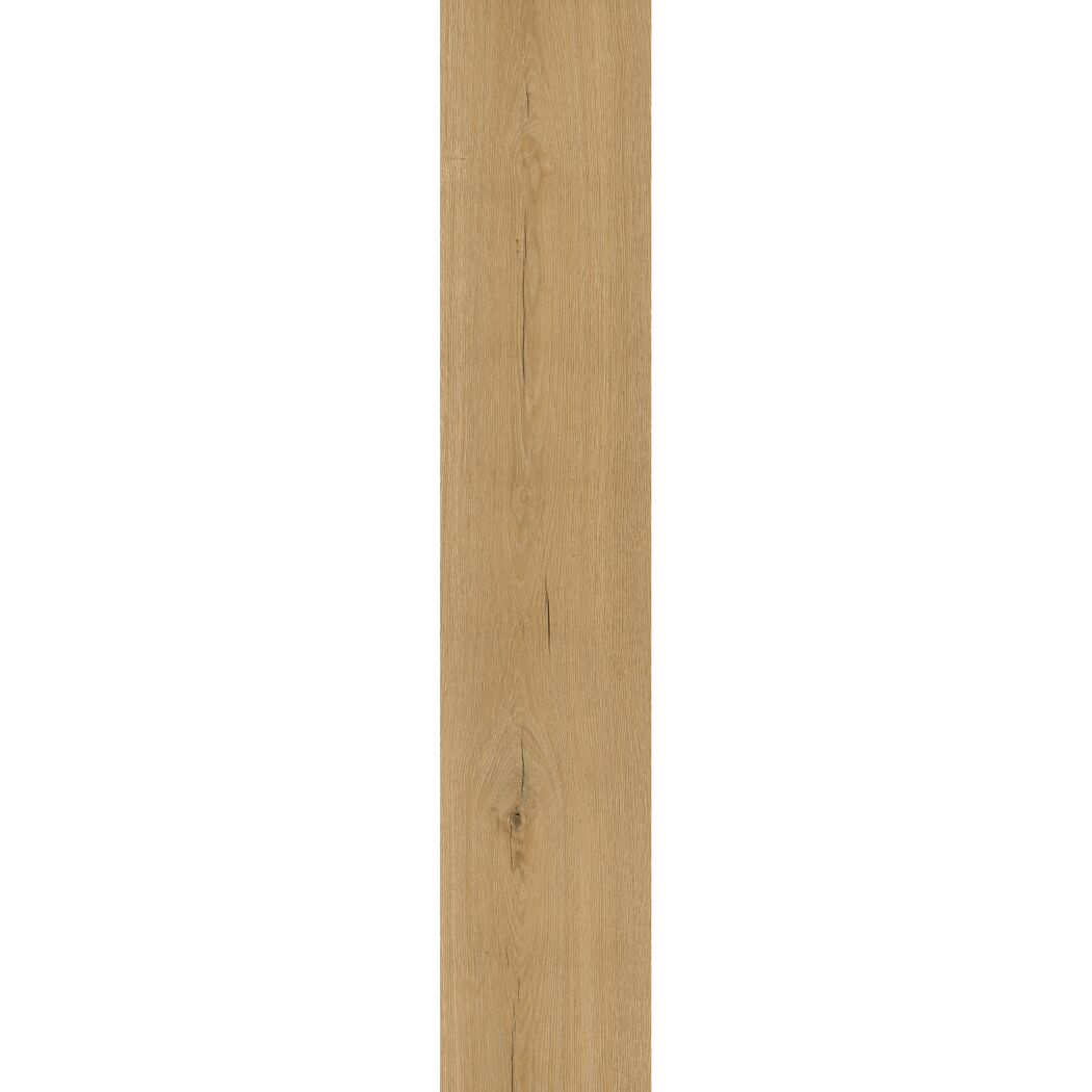 Klebe-Vinylboden 'Eiche Burgund' 2,5 mm