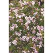 hauptbild