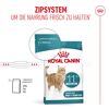 Katzentrockenfutter 'Ageing 11+ Sterilised' Senior 4 kg