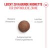 Katzentrockenfutter 'Ageing 11+ Sterilised' Senior 4 kg