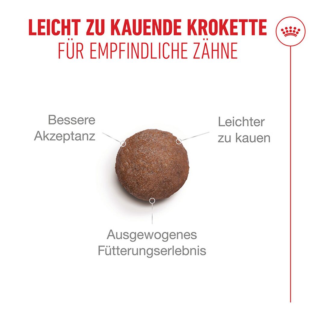 Katzentrockenfutter 'Ageing 11+ Sterilised' Senior 4 kg