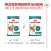 Katzentrockenfutter 'Ageing 11+ Sterilised' Senior 4 kg